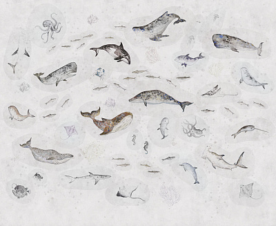 Фотообои MARINE LIFE 2, FAUNA, Factura Фотообои MARINE LIFE 2, FAUNA, Factura